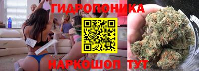 ГАЛЛЮЦИНОГЕННЫЕ ГРИБЫ Балахна