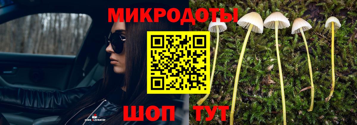 Брянск  Галлюциногенные грибы MAGIC MUSHROOMS  Псилоцибиновые грибы мухоморы  Вход с VPN 